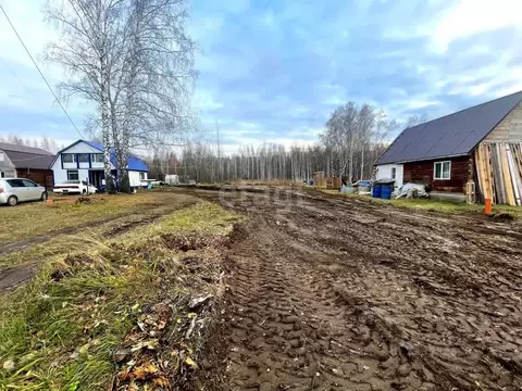 Участок в Новосибирская область, Мошково рп  (8.0 сот.)