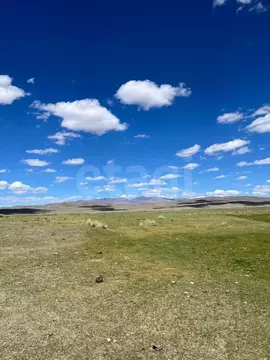 Участок в Алтай, Кош-Агачский район, Казахское с/пос, с. Жана-Аул  ...