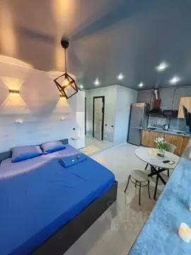 Студия Омская область, Омск просп. Мира, 34 (22.0 м)