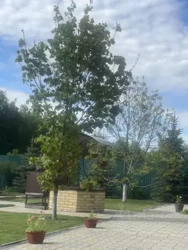 Участок в Омская область, Любинский район, Красный Яр рп Зеленая ул. ...