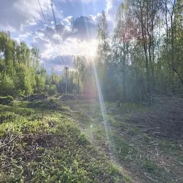 Участок в Алтай, Майминский район, с. Майма ул. Маргелова (10.0 сот.)