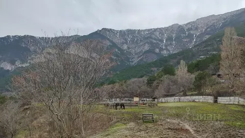 Участок в Крым, Ялта  (8.0 сот.)