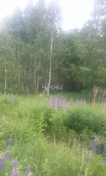 Участок в Нижегородская область, Бор городской округ, д. Марково 22 ...