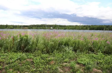 Участок в Тюменская область, Тюменский муниципальный округ, с. Кулига  ...