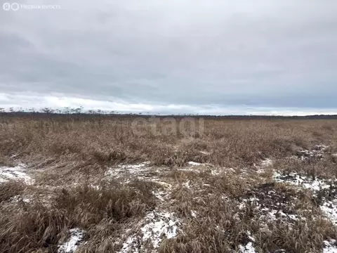 Участок в Пермский муниципальный округ, деревня Качка (20 м)