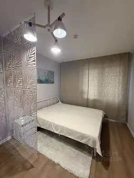 Студия Санкт-Петербург ул. Гудиловская, 9 (21.0 м)