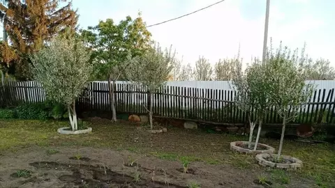Дом в Новосибирская область, Новосибирск Тополь СНТ,  (30 м)