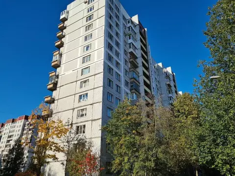 1-к кв. Санкт-Петербург Суздальский просп., 3К2 (33.3 м)