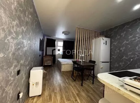 Студия Новосибирская область, Новосибирск ул. Виктора Уса, 13 (27.6 м)