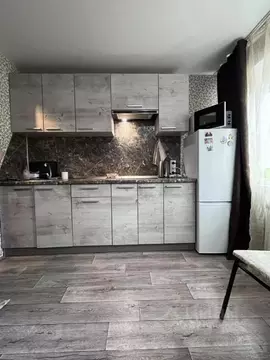 1-к кв. Нижегородская область, Дзержинск ул. Урицкого, 8А (18.6 м)