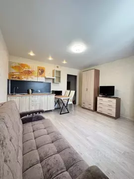 Студия Санкт-Петербург просп. Королева, 64к1 (25.0 м)