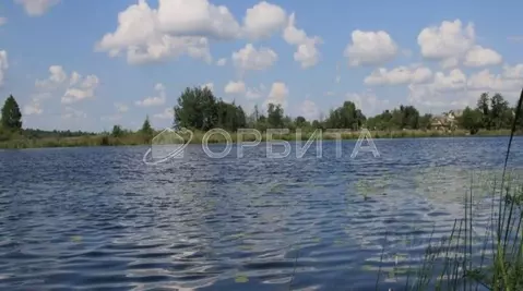 Участок в Псковская область, Великие Луки  (200.0 сот.)