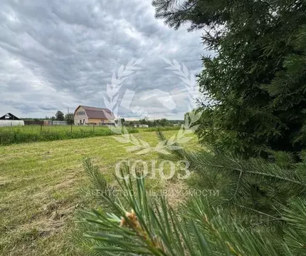 Участок в Калужская область, Боровский муниципальный округ, д. Писково ...