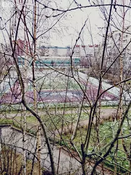 1-комнатная квартира: Санкт-Петербург, проспект Пятилеток, 8к3 (39 м)