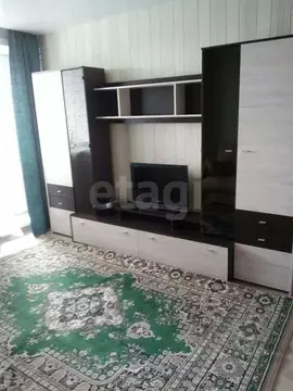 1-к кв. Новосибирская область, Новосибирск ул. Гоголя, 237 (45.0 м)