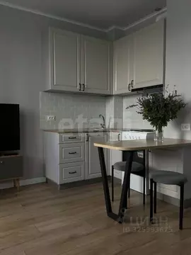 Студия Пермский край, Пермь ул. Агатовая, 36 (22.3 м)