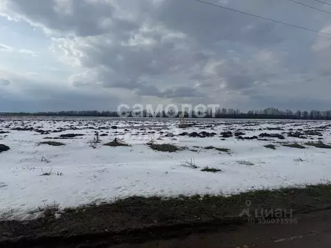 Участок в Марий Эл, Медведевский район, Пекшиксолинское с/пос, д. ...