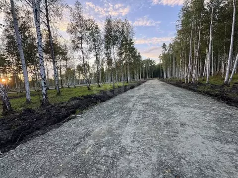 Участок в Свердловская область, Верхняя Пышма  (13.0 сот.)