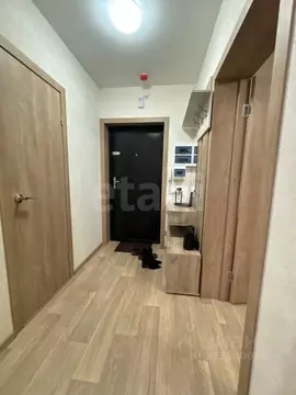 1-к кв. Воронежская область, Воронеж пер. Калашникова, 2 (37.4 м)