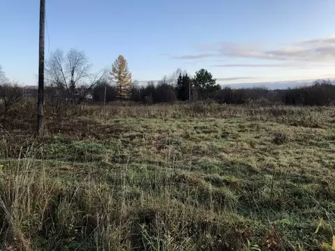 Участок в Пермский край, Верещагинский муниципальный округ, д. Каменка ...