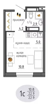 Студия Пермский край, Пермь Ижевская ул., 38 (22.9 м)