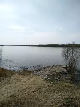 Участок в Омская область, Омский район, с. Надеждино Центральная ул. ...