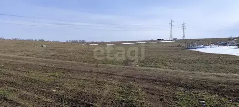 Участок в Крым, Симферопольский район, с. Мирное  (6.22 сот.)