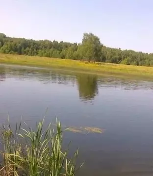 Участок в Московская область, Наро-Фоминский городской округ, ...