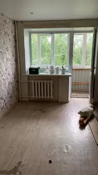 1-к кв. Татарстан, Казань ул. Липатова, 17 (12.1 м)