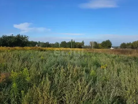 Участок в Брянская область, Брянский район, Мичуринское с/пос, Заря ...