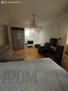 2-комнатная квартира: Санкт-Петербург, Граничная улица, 21 (52 м)