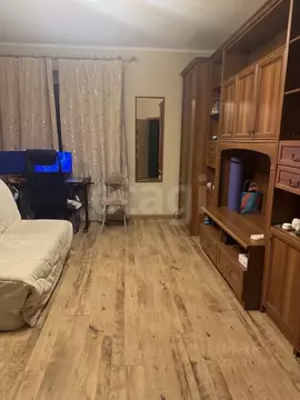 1-к кв. Санкт-Петербург Главная ул., 25 (42.5 м)