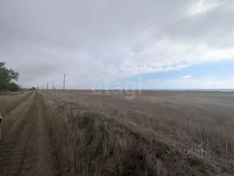 Участок в Крым, Черноморский район, Окуневское с/пос, с. Марьино  ...