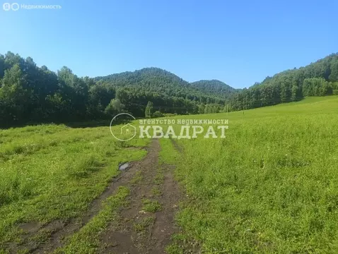 Участок в Майминский район, село Бирюля (40 м)