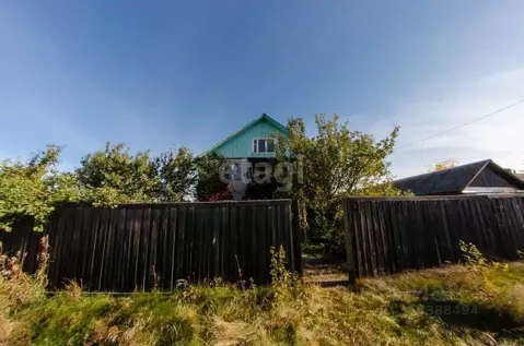 Дом в Курганская область, Шадринский муниципальный округ, д. Тюрикова ...