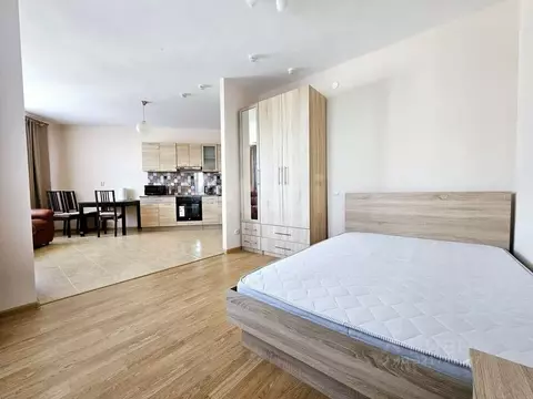 1-к кв. Ленинградская область, Мурино Всеволожский район, ул. ...