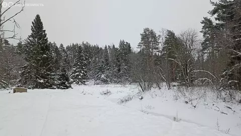 Участок в Юкковское сельское поселение (15 м)