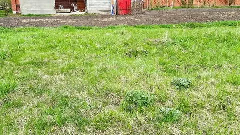 Участок в Новосибирская область, Новосибирск ул. Петухова (5.8 сот.)