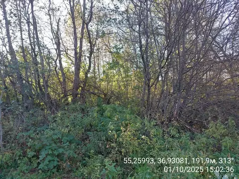 Участок в Московская область, Наро-Фоминский городской округ, д. ...