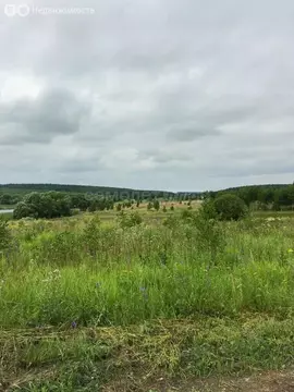 Участок в Московская область, муниципальный округ Луховицы, деревня ...