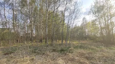 Участок в Московская область, Раменский муниципальный округ, д. ...