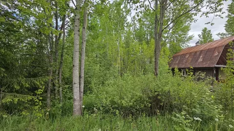 Участок в Ленинградская область, Тосненский район, Трубникоборское ...