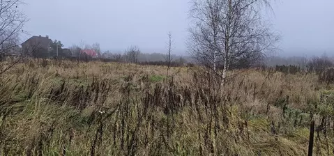 Участок в Московская область, Луховицы муниципальный округ, д. Берхино ...