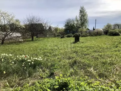 Участок в Смоленская область, Смоленский муниципальный округ, Протон ...