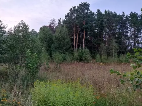 Участок в Московская область, Одинцовский городской округ, с. Луцино  ...