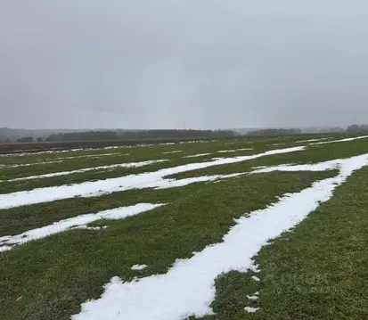 Участок в Московская область, Богородский городской округ, д. Соколово ...