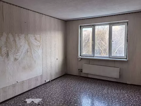 1-к кв. Нижегородская область, Нижний Новгород Молодежный просп., 31 ...