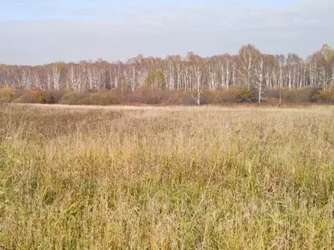 Участок в Новосибирская область, Новосибирский район, Станционный ...