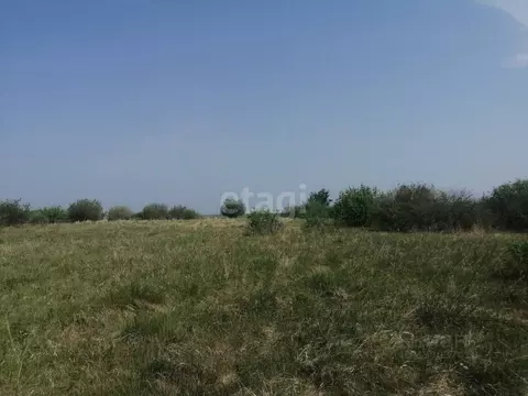 Участок в Челябинская область, с. Кунашак ул. Дружбы (12.6 сот.)