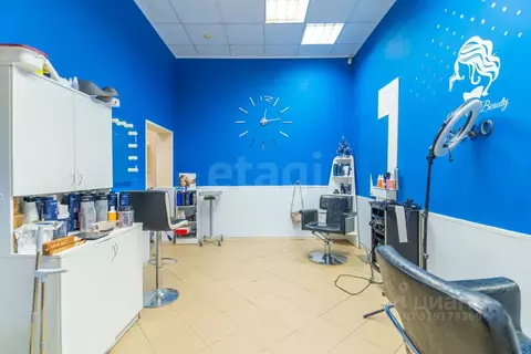 Торговая площадь в Санкт-Петербург Сиреневый бул., 23к2 (71 м)